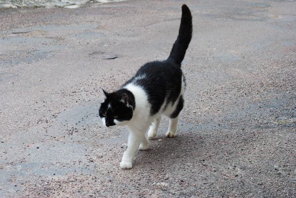 Flavigny sur ozerain